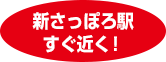 新さっぽろ駅すぐ近く！