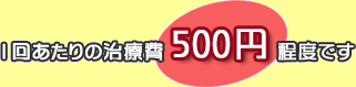 1回あたりの治療費500円程度です